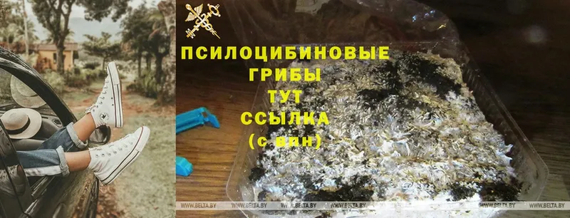 Галлюциногенные грибы GOLDEN TEACHER  Черноголовка 